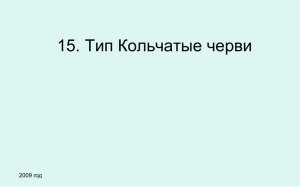 15. Тип Кольчатые черви