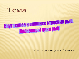 тест внутр и внешн строение рыб