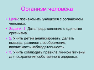 Организм человека