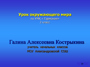 Презентация к уроку Кострыкиной Г.А.