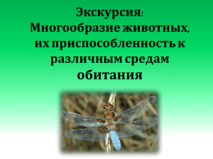 обитания Экскурсия: Многообразие животных, их приспособленность к