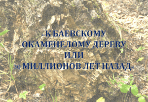 К баевскому окаменелому дереву или 30 миллионов лет назад