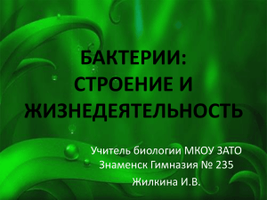 бактерии: строение и жизнедеятельность