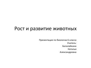 Рост и развитие животных Презентация по биологии 6 класса Учитель: Балалайкина