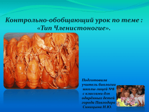 Контрольно-обобщающий урок по теме : «Тип Членистоногие». Подготовила учитель биологии