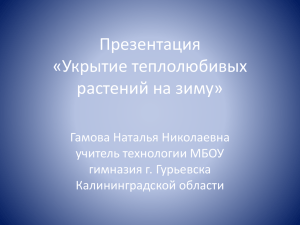 Презентация «Укрытие теплолюбивых растений на зиму» Гамова Наталья Николаевна