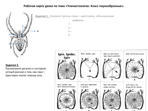 презентацию к уроку.