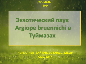 ПРЕЗЕНТАЦИЯ ЭКЗОТИЧЕСКИЙ ПАУК АРГИОПА