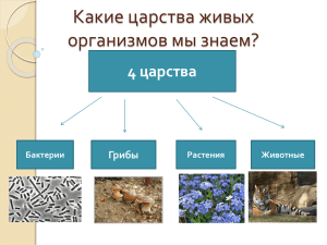 Какие царства живых организмов мы знаем? 4 царства Грибы