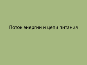 Поток энергии и цепи питания