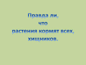 Биология. Правда ли, что растения кормят всех, даже хищников?