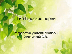 Тип Плоские черви Разработка учителя биологии Хисамовой С.В.