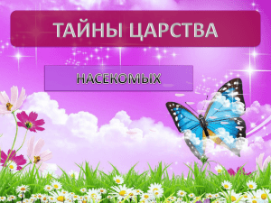 ТАЙНЫ ЦАРСТВА насекомых