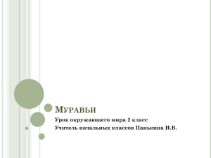 М УРАВЬИ Урок окружающего мира 2 класс Учитель начальных классов Панькина И.В.