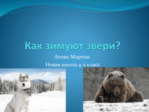 Как зимуют звери?