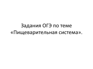 процесс пищеварение в ротовой полости человека