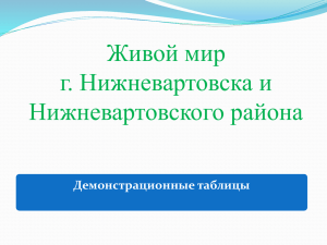 Живой мир г. Нижневартовска и Нижневартовского района Демонстрационные таблицы