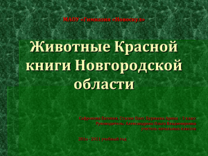 Животные Красной книги Новгородской области МАОУ «Гимназия «Новоскул»