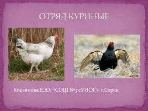 Косьянова Е.Ю. «СОШ №3 сУИОП» г.Сорск 