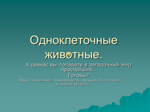 Одноклеточные животные. А сейчас вы попадете в загадочный мир простейших…