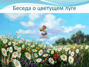 Беседа о цветущем луге