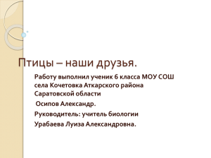 Работу выполнил ученик 6 класса МОУ СОШ села Кочетовка