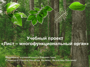 Учебный проект «Лист – многофункциональный орган» Выполнила: ученица6 класса Нардина Анна