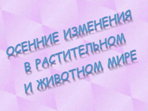 Осенние изменения в жизни растений