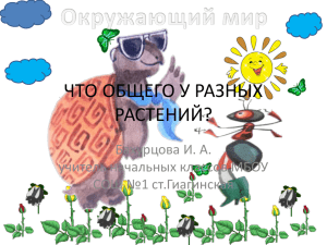 растения Что общего у разных растений?