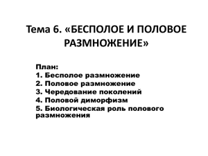 Презентация к лекции 6.