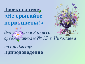 Не срывайте первоцветы!