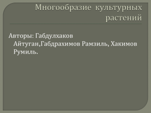 Многообразие культурных растений (2)