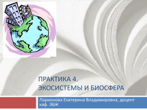 ПРАКТИКА 4. ЭКОСИСТЕМЫ И БИОСФЕРА Ларионова Екатерина Владимировна, доцент каф. ЭБЖ