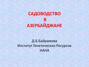 5. Куба-Хачмасская экономическая зона.