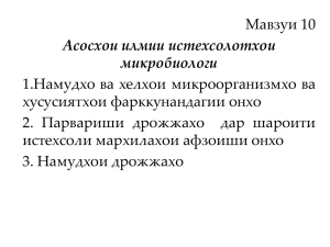 Мавзуи 10 1.Намудхо ва хелхои микроорганизмхо ва хусусиятхои фарккунандагии онхо 2. Парвариши дрожжахо