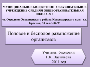 Половое и бесполое размножение организмов