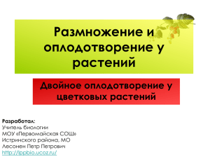 Размножение и оплодотворение у растений Двойное оплодотворение у