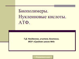 Биополимеры. Нуклеиновые кислоты. АТФ. Т.Д. Найданова, учитель биологии,