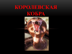 Королевская кобра