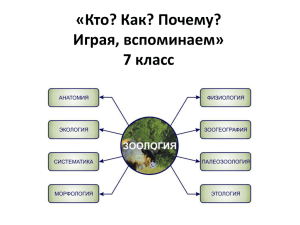 «Кто? Как? Почему? Играя, вспоминаем» 7 класс