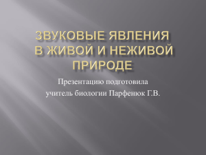 Звуковые явления в живой и неживой природе