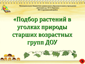 Муниципальное бюджетное дошкольное образовательное учреждение «Детский сад  № 8 «Теремок»