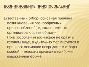 Адаптации, связанные с внешним строением