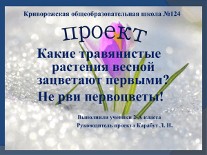 Какие травянистые растения весной зацветают первыми? Не