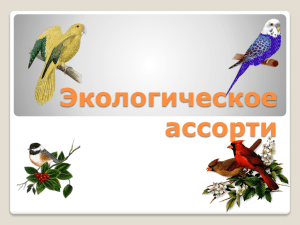 Экологическое ассорти