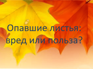 Опавшие листья: вред или польза?