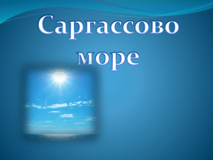 саргассово море