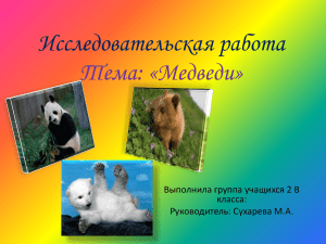 Бурый медведь.