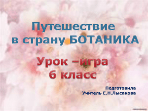 Викторина «Кто быстрее?