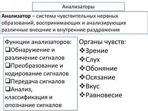 Органы чувств: Зрение Слух Обоняние